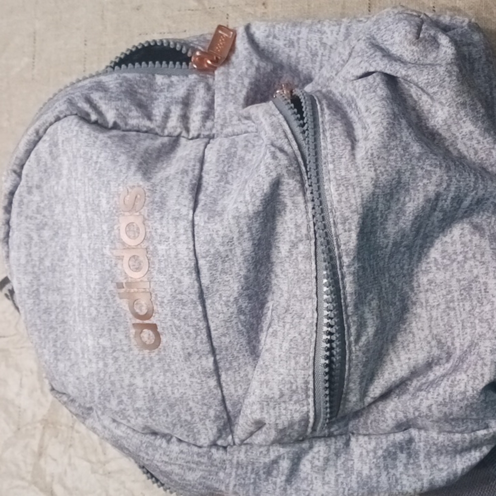 Purse backpack